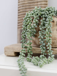 String Of Pearls Faux Plants & Foliage Wander & Wild 