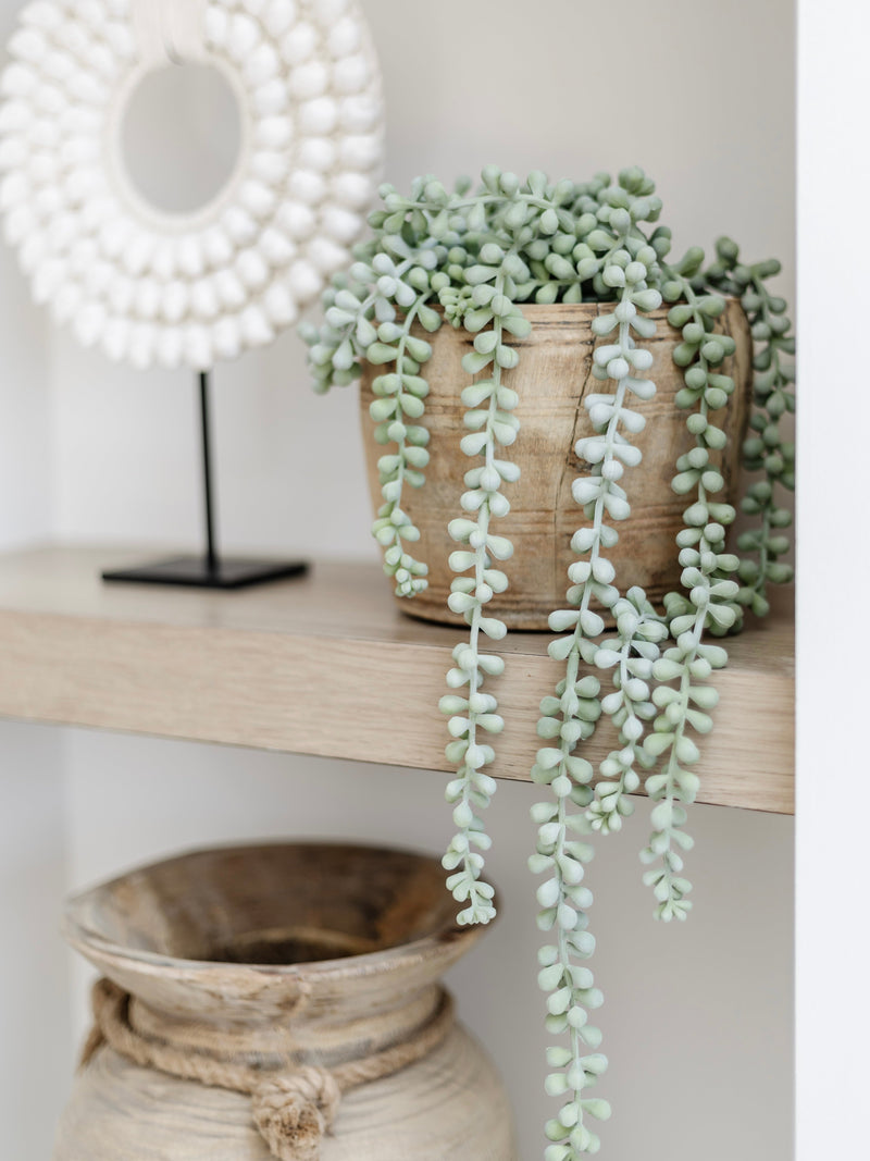 String Of Pearls Faux Plants & Foliage Wander & Wild 